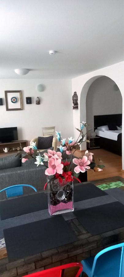 U Zeleneho Jalovce Apartment Prague Exterior photo