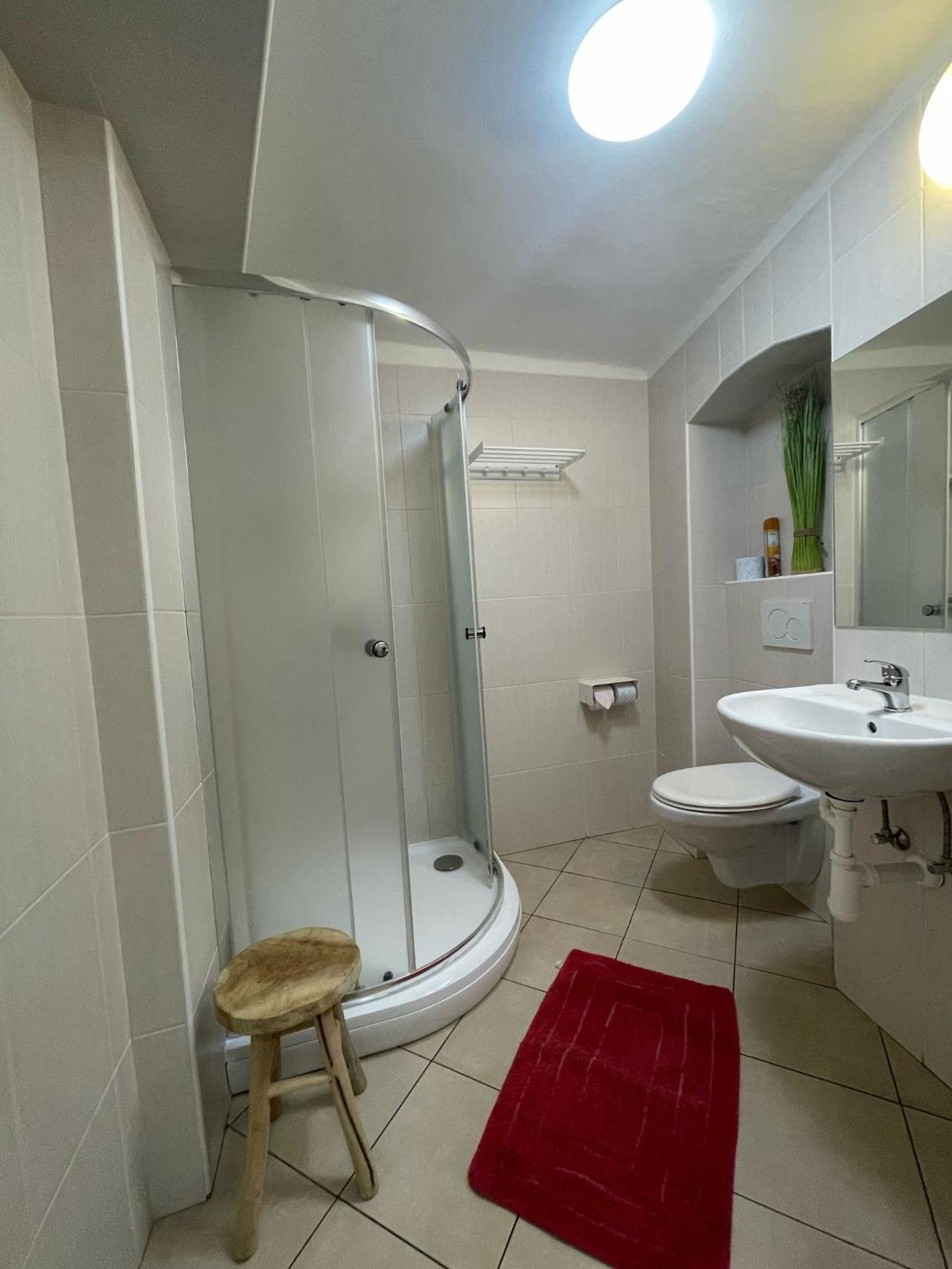 U Zeleneho Jalovce Apartment Prague Exterior photo